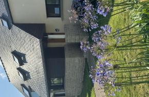 Détail